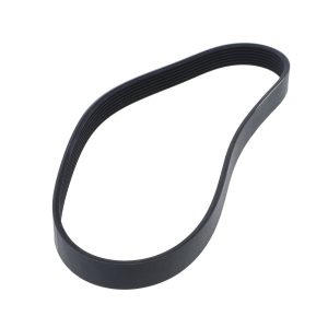 Ремень поликлиновый  L 8 L=1270